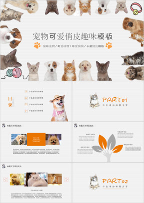 宠物可爱趣味俏皮ppt模板