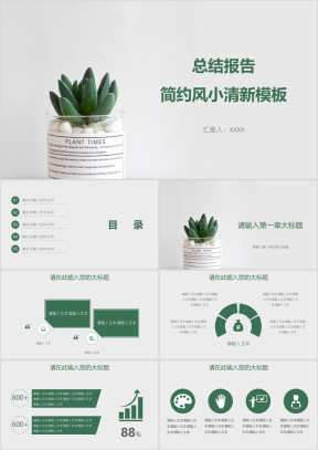 总结报告简约风小清新模板ppt