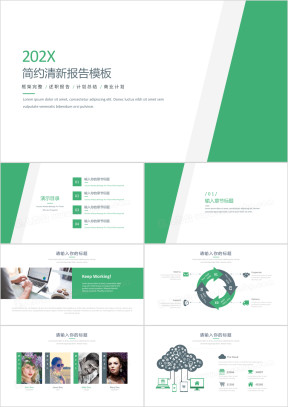 简约清新欧美风通用工作总结模板ppt