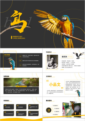 初中语文部编版七年级上册《鸟》公开课教学课件