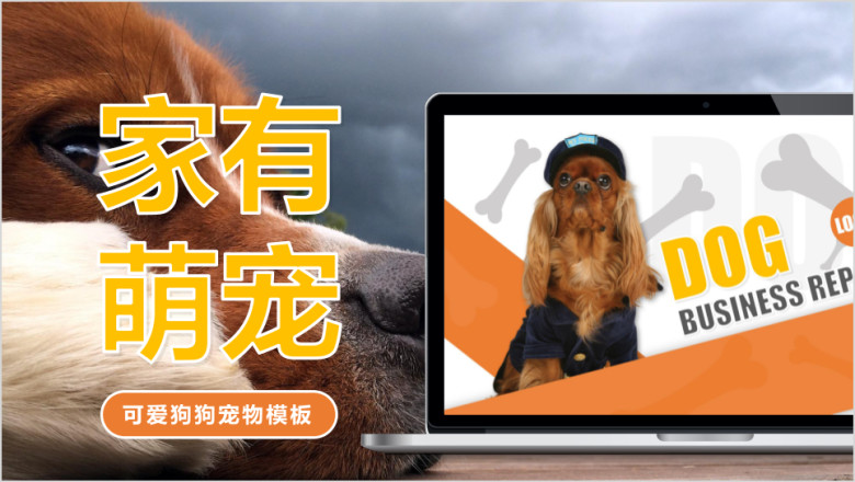 橙色可爱狗狗商务ppt