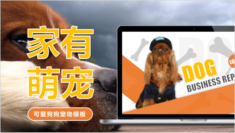 橙色可爱狗狗商务ppt
