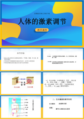 初中生物苏教版七年级下册《12