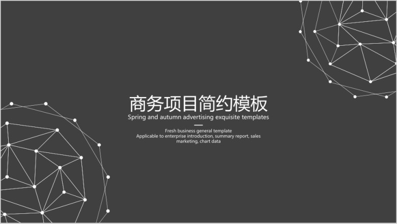 商务项目简约模板ppt