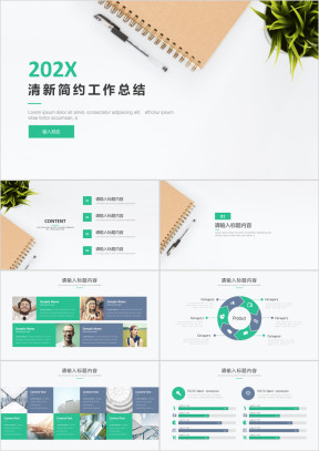 欧美清新201X通用工作总结模板ppt