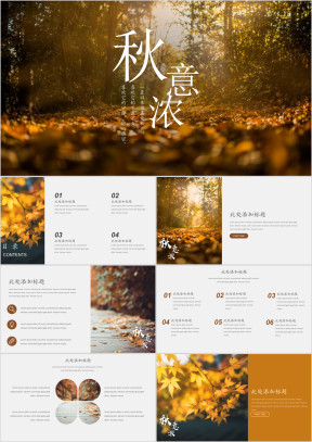 工作总结计划秋意浓主题ppt