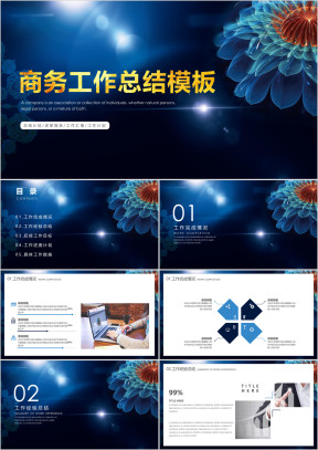 商务高端工作总结模板ppt
