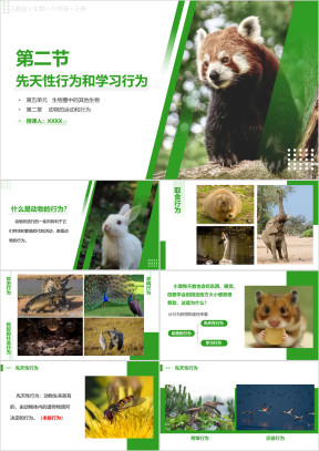 人教版八年级上册生物先天性行为和学习行为课件