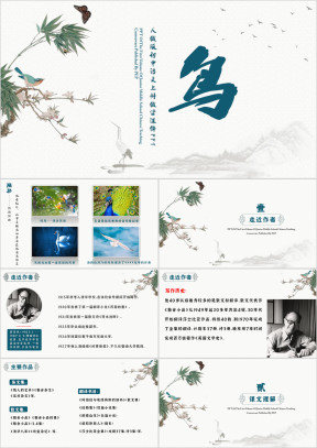 鸟七年级语文上册教学课件PPT