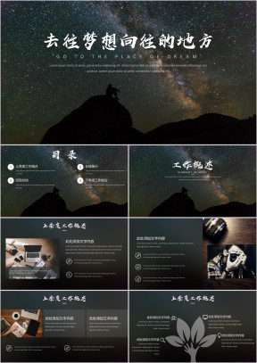 星空大气商务工作总结模板12ppt