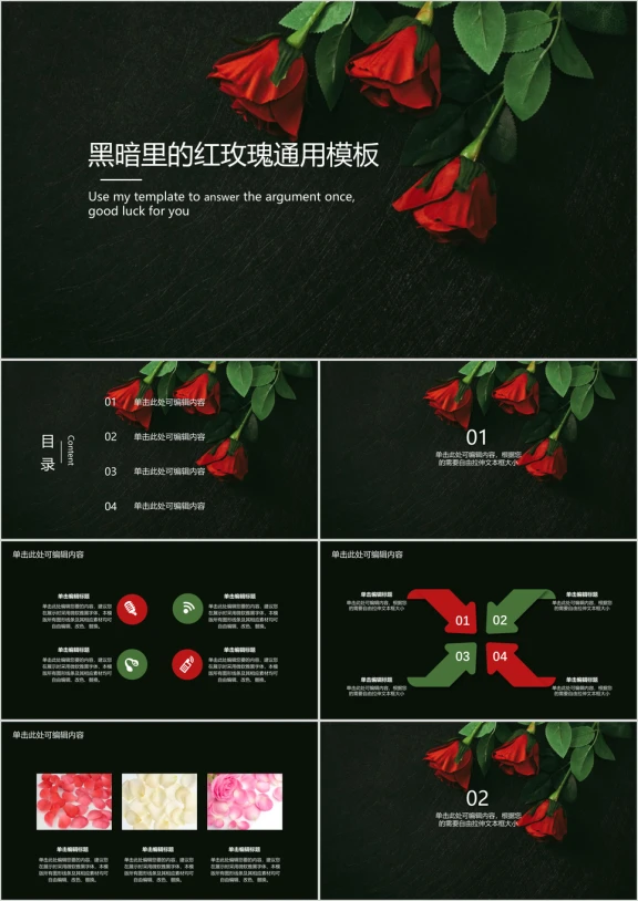 黑暗里的红玫瑰毕业答辩演示ppt