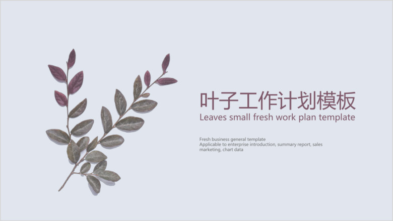 叶子工作计划模板ppt