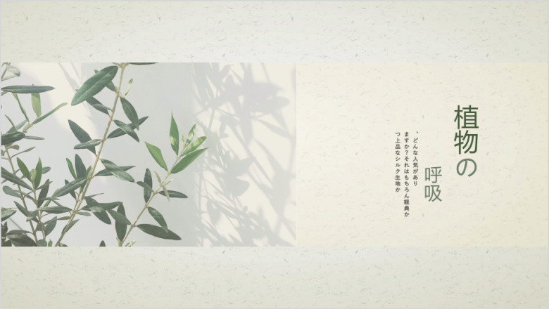 简约日系植物的呼吸小清新模板ppt