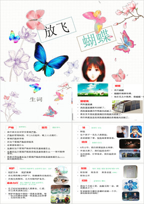 小学语文三年级《放飞蝴蝶》教育教学课件