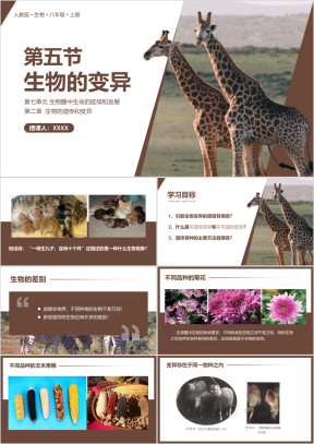 人教版八年级生物下册生物的变异