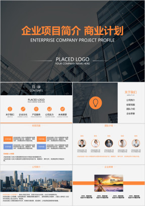 完整框架商业项目计划书ppt