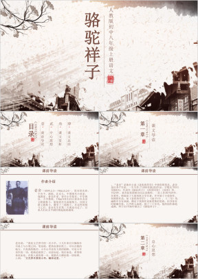 初中语文人教版八年级上册《骆驼祥子》教育教学课件