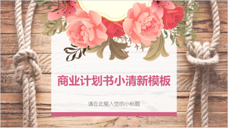 商业计划书小清新模板ppt