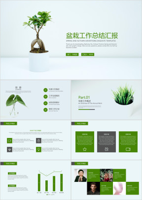 盆栽工作总结汇报ppt