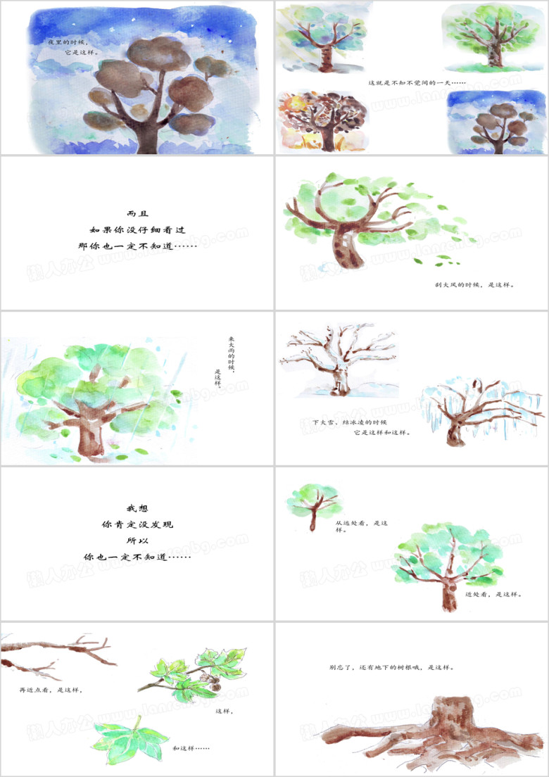 儿童绘本故事：你一定不知道ppt
