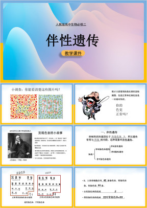 高中生物人教版必修二《伴性遗传》课件
