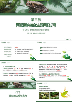 人教版八年级生物下册两栖动物的生殖和发育课件
