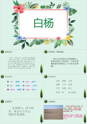 小学语文课文《白杨》教育教学课件（状元课件）