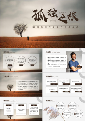 初中语文部编版九年级上册《孤独之旅》公开课教学课件