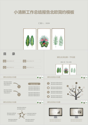 小清新工作总结报告北欧简约模板ppt