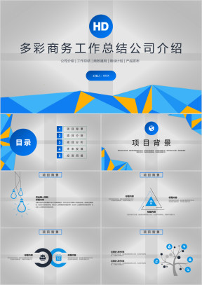多彩商务企业管理工作总结ppt