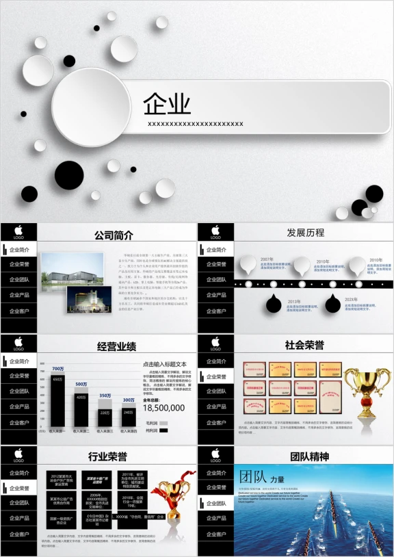 跨国公司商业计划书ppt