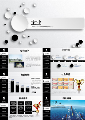 跨国公司商业计划书ppt