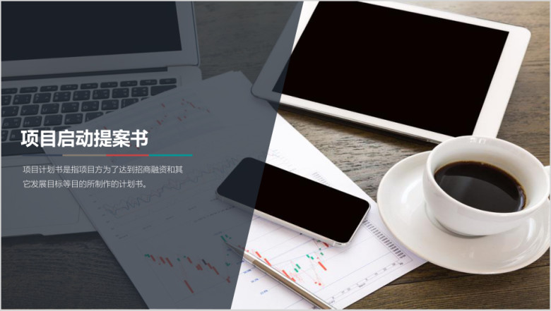 黑白商务静态项目计划书简介ppt模板