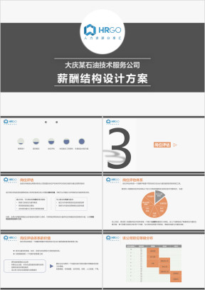 大庆某石油技术服务公司薪酬报告ppt