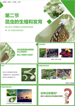 人教版八年级生物上册昆虫的生殖和发育