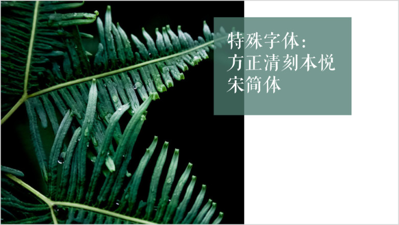文艺小清新绿叶新年工作计划ppt模板