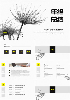 黑白蒲公英年终总结计划ppt