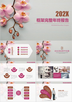 清新蝴蝶兰框架完整年终总结工作汇报ppt