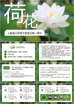 人教版三年级下册语文《荷花》教