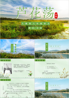 初中语文人教版八年级《芦花荡》教育教学课件