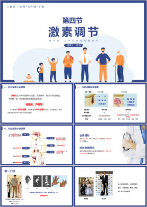 初中生物人教版七年级下册《激素调节》教育教学课件