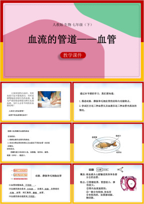 初中生物人教版七年级下册《血流的管道-血管》课件