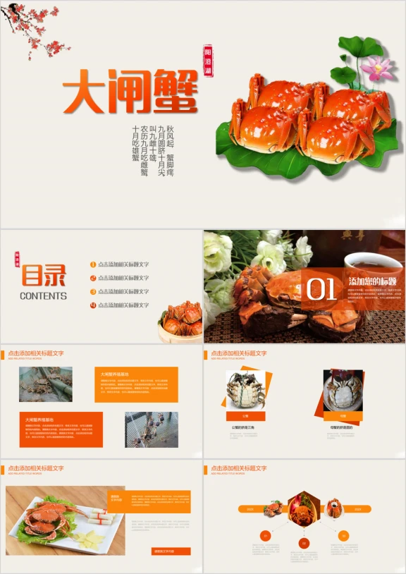 螃蟹美食文化阳澄湖大闸蟹ppt模板