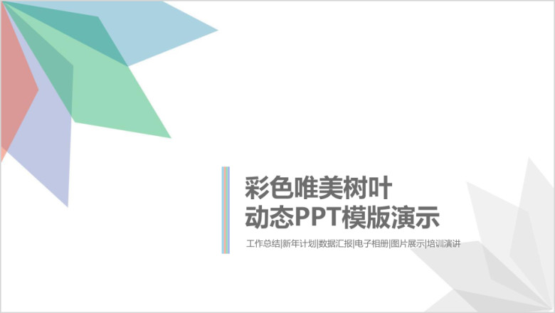 唯美彩色树叶花瓣工作总结商业创业计划书ppt