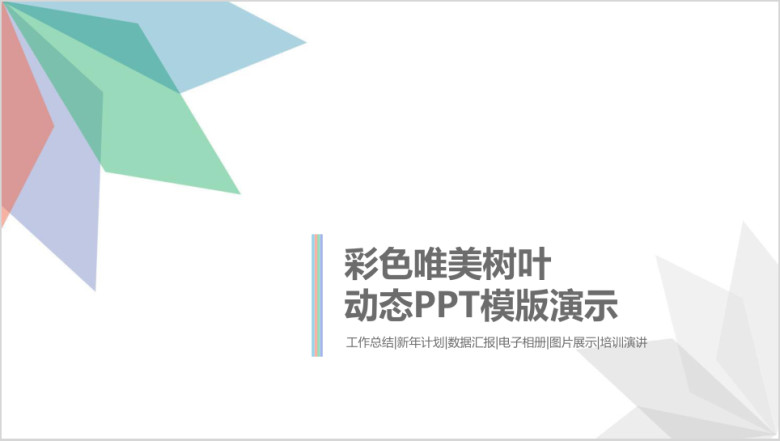 唯美彩色树叶花瓣工作总结商业创业计划书ppt