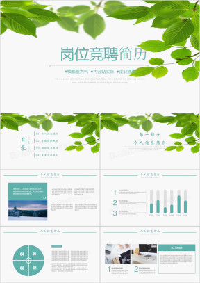 个人求职简历述职报告ppt