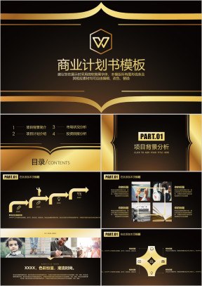 炫酷黑金框架完整商务计划书ppt模板