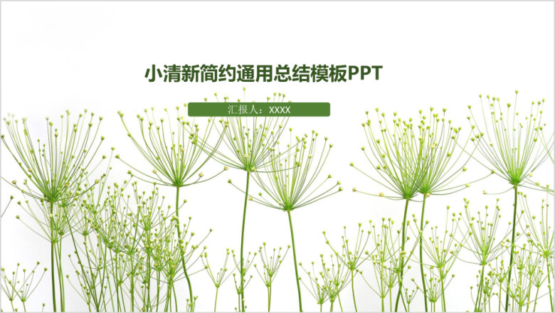 小清新简约总结模板ppt
