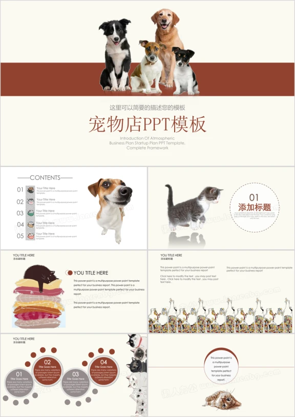 可爱动物宠物店萌宠ppt