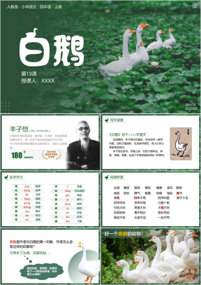 人教版小学语文四年级上册第13课白鹅PPT课件